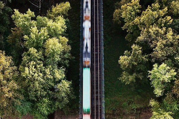 train woods